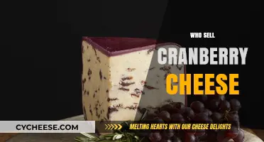 Discover Top Retailers Selling Unique Cranberry Cheese Varieties