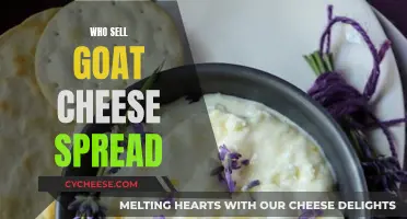Goat Cheese Spread: Where to Buy and Try