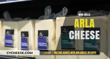 Discover Where to Buy Arla Cheese: Top Retailers and Stores