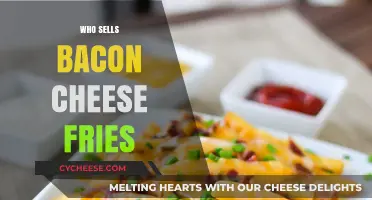Where to Find Bacon Cheese Fries: Top Restaurants and Fast Food Spots