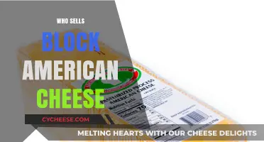 Where to Buy Block American Cheese: Top Retailers and Brands