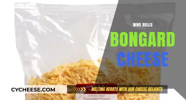 Discover Where to Buy Authentic Bongard Cheese: Top Retailers and Producers