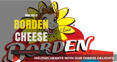 Discover Where to Buy Borden Cheese: Top Retailers and Stores