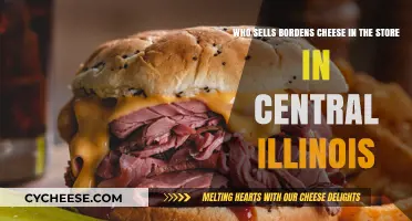 Where to Buy Borden's Cheese in Central Illinois Stores