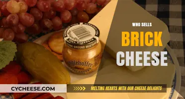 Discover Where to Buy Authentic Brick Cheese: Top Sellers Revealed