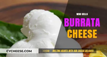 Discover Top Retailers and Brands Selling Creamy Burrata Cheese