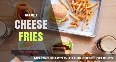 Discover Top Spots to Buy Delicious Cheese Fries Near You