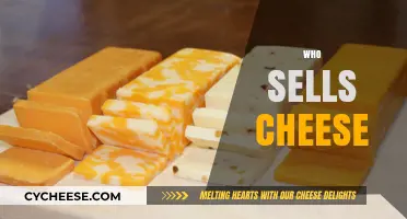 Discovering Top Cheese Sellers: Where to Buy the Best Varieties