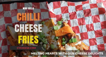Discover Top Spots to Buy Spicy Chilli Cheese Fries Near You