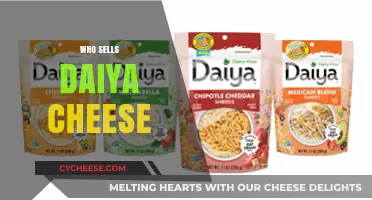 Where to Buy Daiya Cheese: Top Retailers and Online Sellers