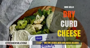 Discover Top Retailers Selling Dry Curd Cheese Near You Today