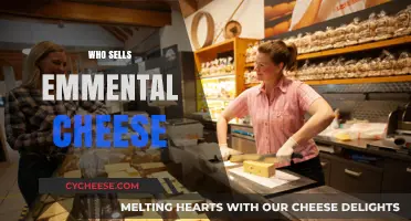 Discover Top Retailers and Producers Selling Authentic Emmental Cheese