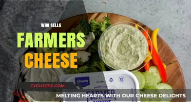 Discover Top Retailers and Brands Selling Farmers Cheese Near You