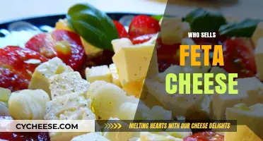Where to Buy Feta Cheese: Retailers and Brands
