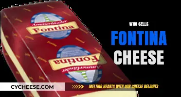 Discover Top Retailers and Brands Selling Authentic Fontina Cheese