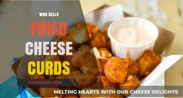 Where to Find Fried Cheese Curds: Top Sellers and Locations
