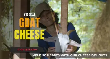 Exploring the World of Goat Cheese: Who's Your Supplier?