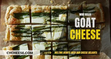 Goat Cheese: Where to Buy and What to Know