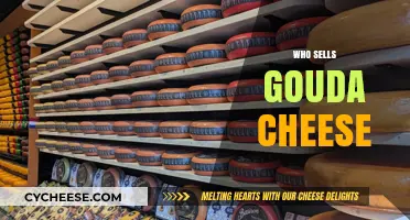Discover Top Retailers and Producers Selling Authentic Gouda Cheese