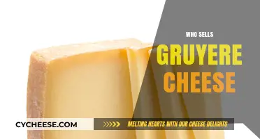 Where to Buy Gruyere Cheese: Top Retailers and Specialty Shops