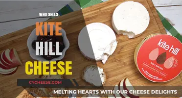 Discover Where to Buy Kite Hill Cheese: Top Retailers and Online Stores