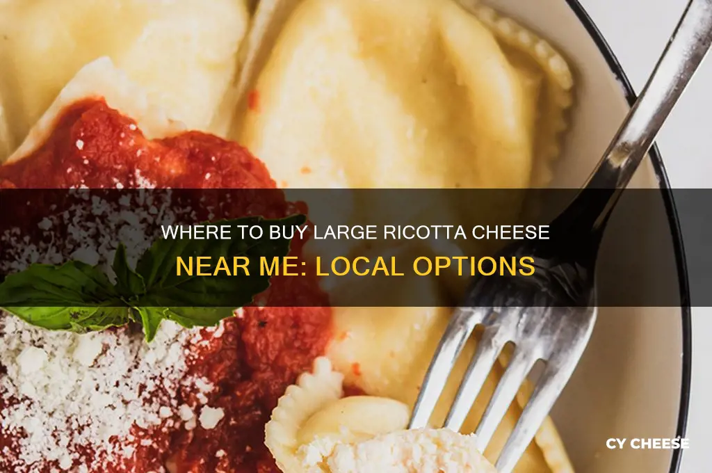 who sells large ricotta cheese in my area