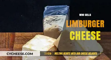 Where to Buy Limburger Cheese: Top Retailers and Specialty Shops