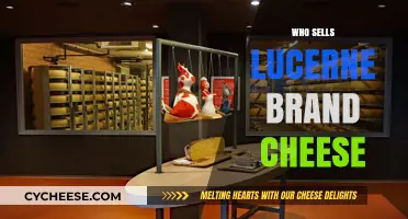 Discover Where to Buy Lucerne Brand Cheese: Top Retailers