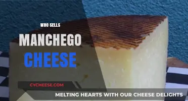 Discover Top Retailers and Artisans Selling Authentic Manchego Cheese