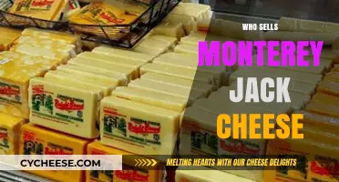 Where to Buy Monterey Jack Cheese: Top Retailers and Brands