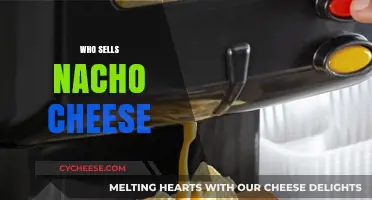 Where to Buy Nacho Cheese: Top Retailers and Brands Revealed