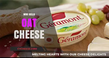 Discover Top Brands Selling Oat Cheese: A Vegan's Guide