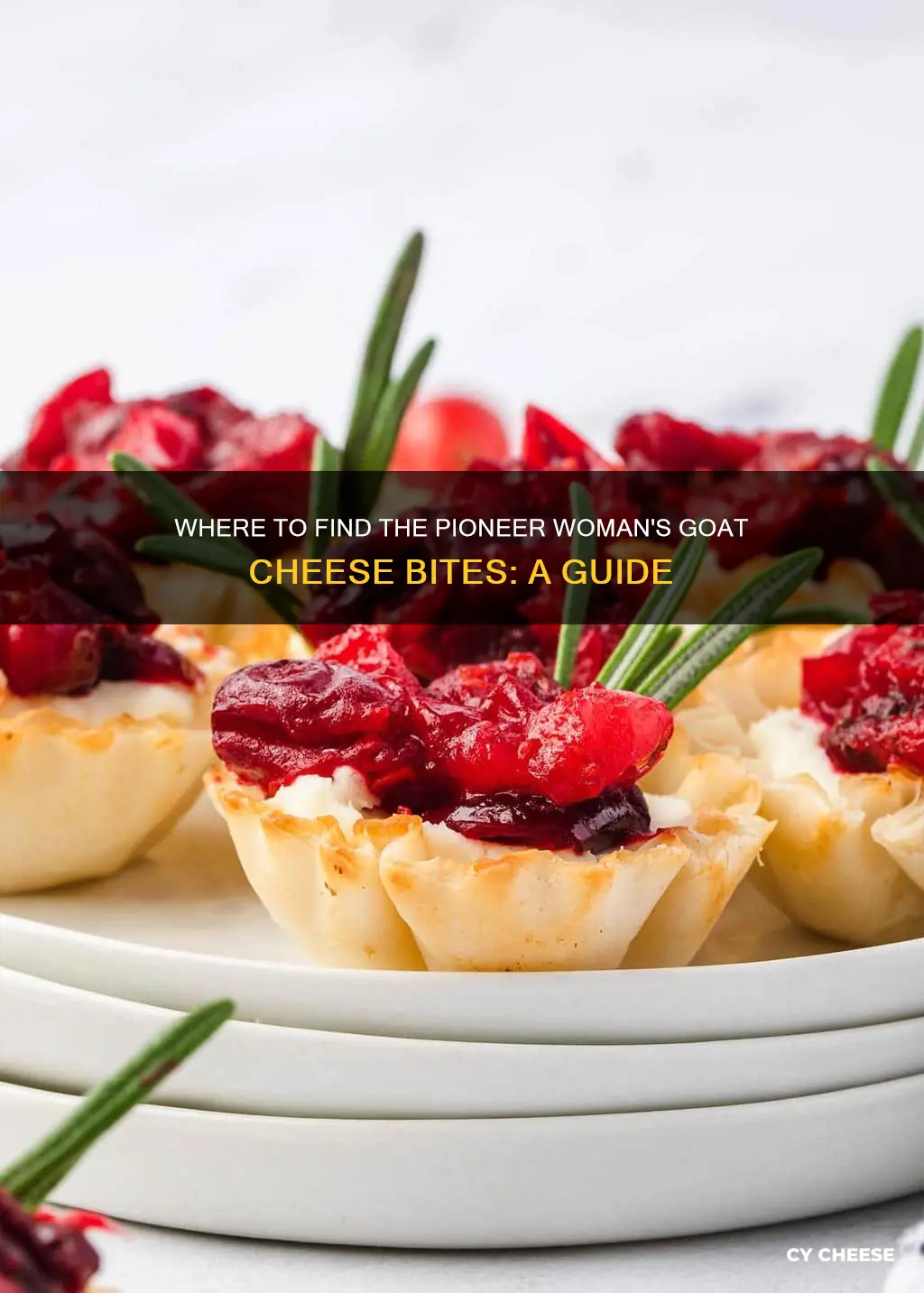 who sells pioneer woman goat cheese bites