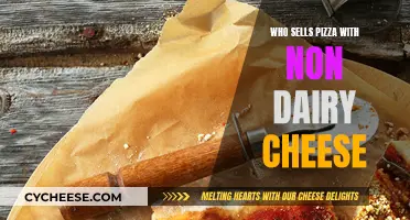 Non-Dairy Delights: Pizza Places With Vegan Cheese Options