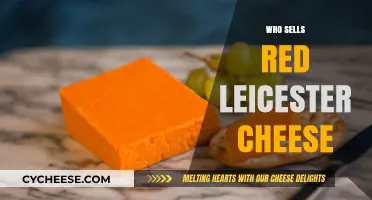 Where to Buy Red Leicester Cheese: Top Retailers and Producers