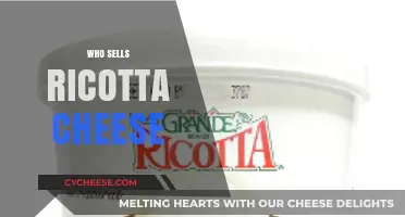 Where to Buy Ricotta Cheese: Top Retailers and Brands to Try