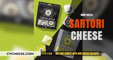 Discover Where to Buy Sartori Cheese: Top Retailers and Stores