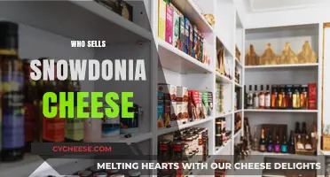 Discover Where to Buy Authentic Snowdonia Cheese: Top Retailers