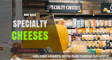 Discover Top Retailers for Artisan and Specialty Cheeses Near You
