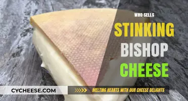 Discovering Stinking Bishop Cheese: Top Retailers and Producers to Buy From