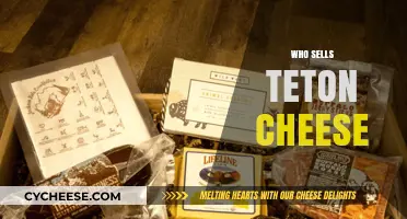 Discover Where to Buy Authentic Teton Cheese: Top Retailers and Producers
