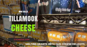 Where to Buy Tillamook Cheese: Retailers and Online Sellers Guide