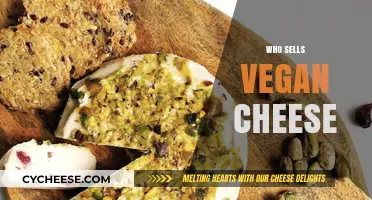 Discover Top Brands and Stores Selling Vegan Cheese Near You