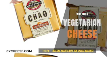 Discover Top Brands Selling Delicious Vegetarian Cheese Options Today