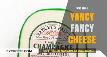 Where to Buy Yancey's Fancy Cheese: Top Retailers and Online Stores