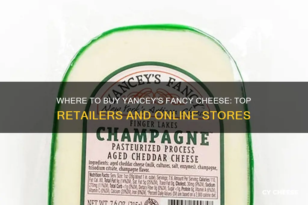 who sells yancy fancy cheese