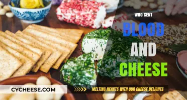Unveiling the Mystery: Who Sent Blood and Cheese?