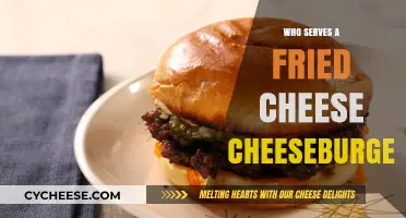 Crispy, Cheesy Delight: Fried Cheese Cheeseburger