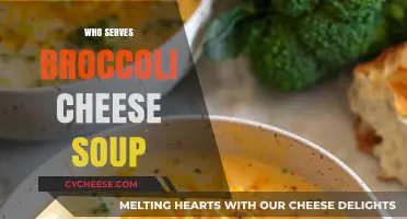 Cheesy Broccoli Soup: Where to Find Comfort