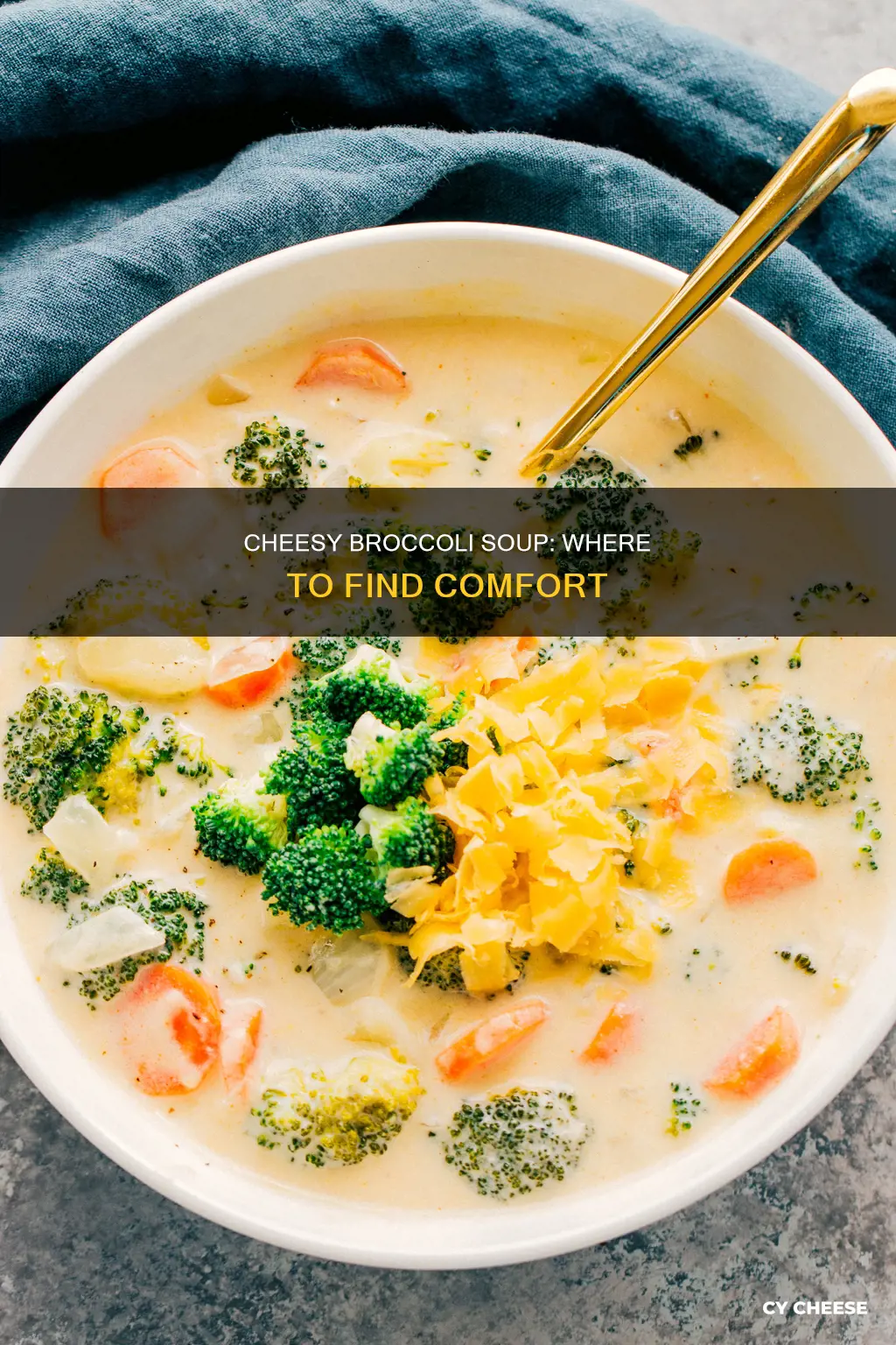 who serves broccoli cheese soup